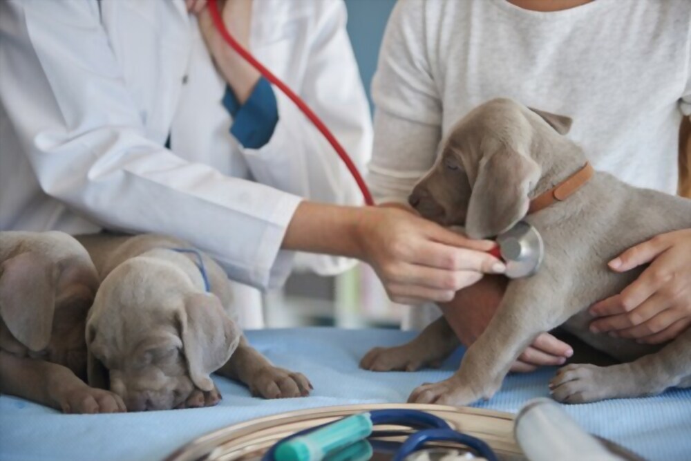 Traveling Wellness Clinics