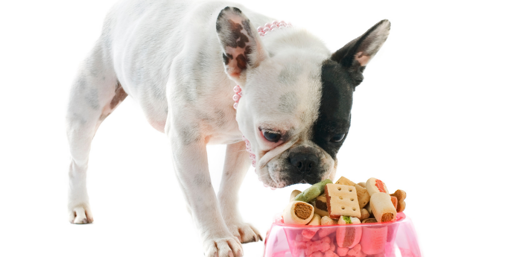 6 Foods to Avoid During a Holiday for Pets