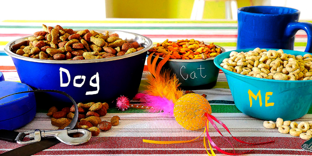 How to Choose the Best Food for your Pet