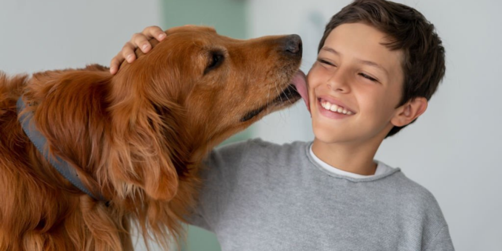 Things To Keep In Mind While Pet Boarding