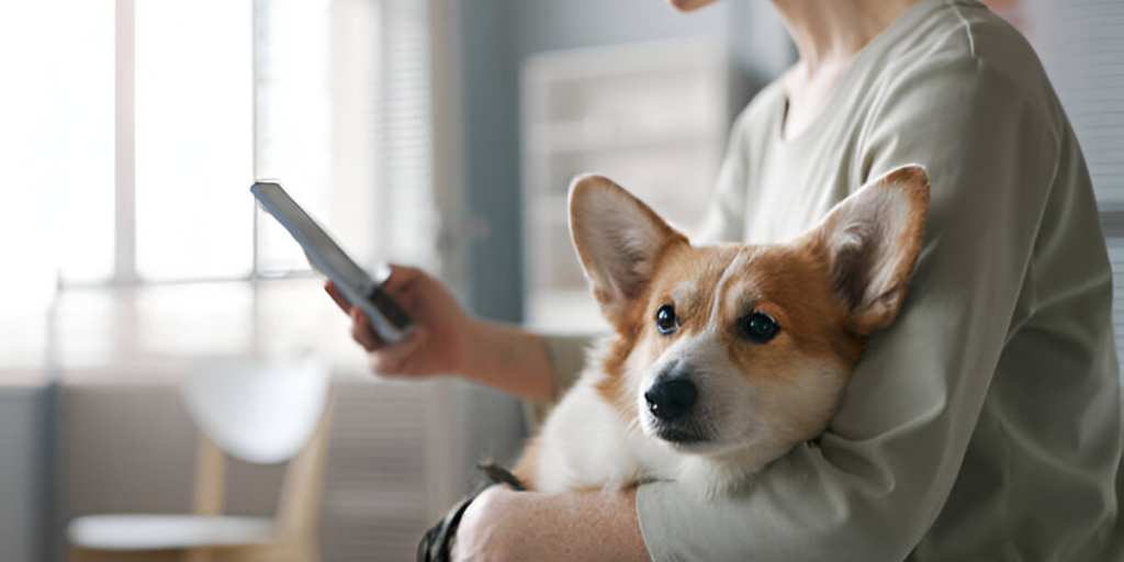 Spay and Neuter