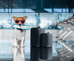 Traveling Clinic
